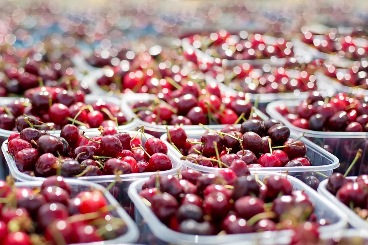 Your First Local Farmers Market: A Beginner's Guide to Shopping, Parking, and Produce